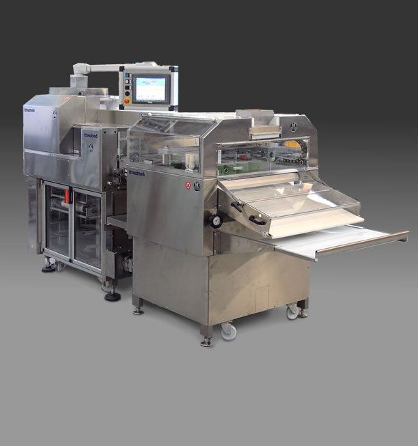 Ciabatta Roll Plant